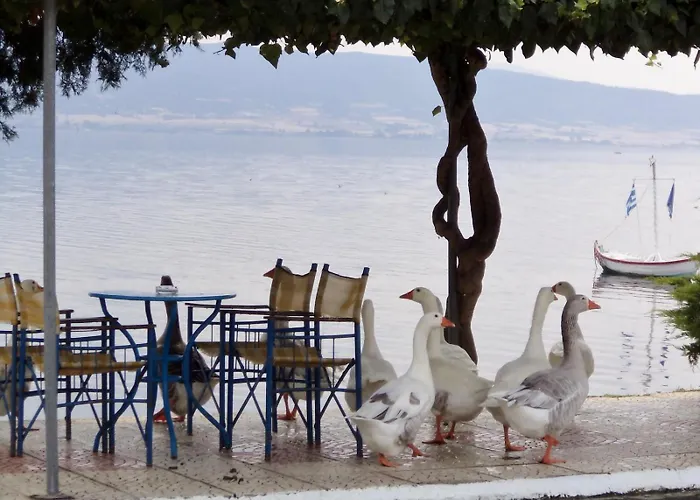 Stavros Lay In Ano Stavros