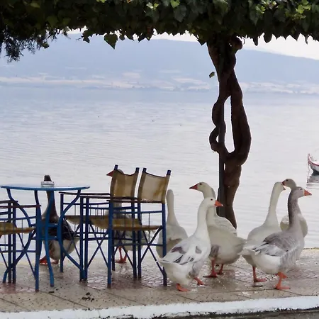 Stavros Lay In Ano Stavros